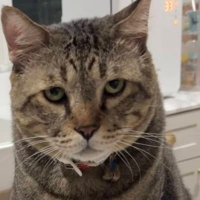 AlanKindMan's profile picture. 