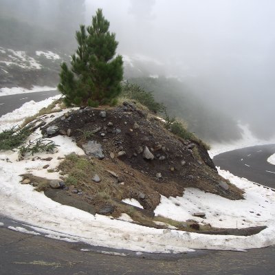 Sequcerra's profile picture. When a person tells you you hurt them, you don't get to decide you didn't.