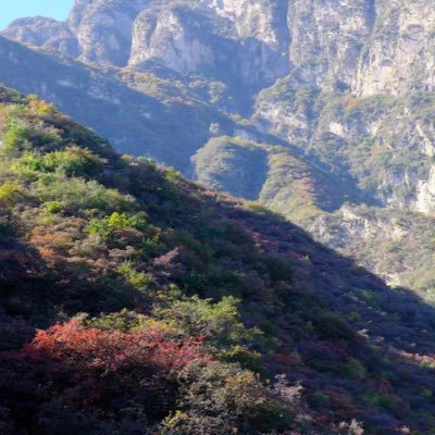 RogerX112358's profile picture. 