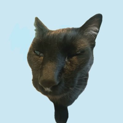 ydissak's profile picture. 