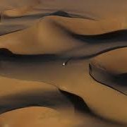 hasan8_ali14983's profile picture. 