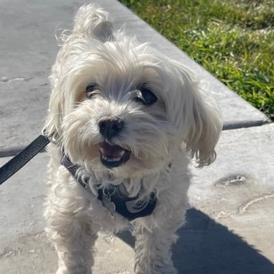 BenGanz0630's profile picture. 