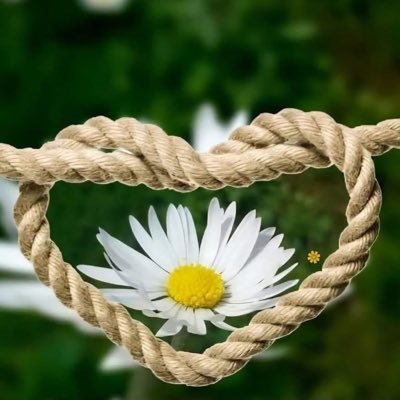 MargaretNi59263's profile picture. 
