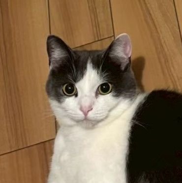 30k0ge's profile picture. 