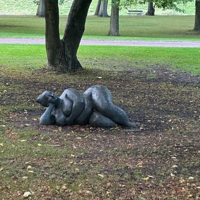 LleshiAlga23076's profile picture. 