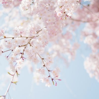 rBk3Osm1pQ89592's profile picture. 過保護で教育虐待をするヒステリーな母親と過干渉でアルコール依存症の父親のもとで育つ→10代で摂食障害と不登校、20代でうつ病に→結婚して毒親と離れる→毒親育ちでも幸せに生きていきたい