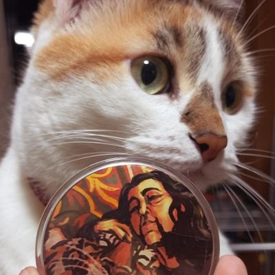 molevisch's profile picture. malika | fan artist