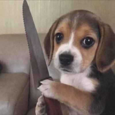 Successfulalone's profile picture. 普