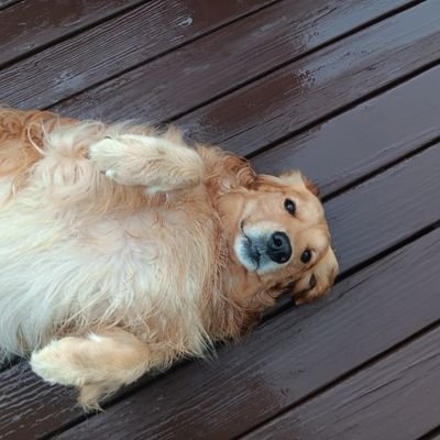 itzrustkage231's profile picture. 