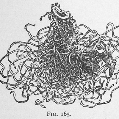 weloveprision's profile picture. ele/ela/elu