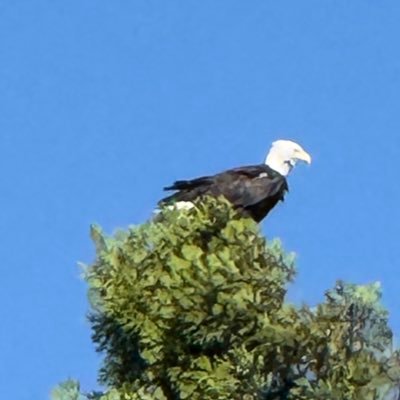 xyz7677's profile picture. 