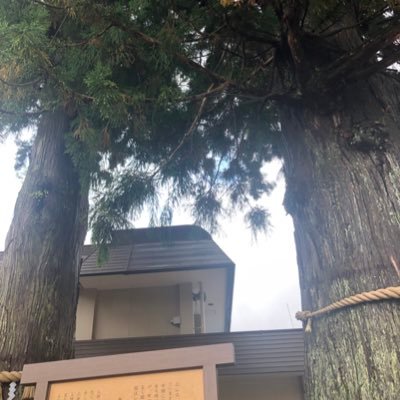 chiechiema2's profile picture. 