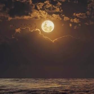 Y_wydlma's profile picture. 