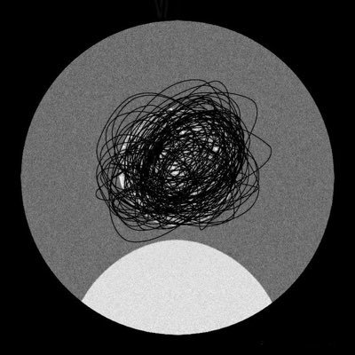 ludyaye's profile picture. 