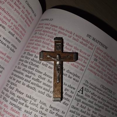 Oracle2026's profile picture. «Tu es Petrus et super hanc petram aedificabo Ecclesiam meam»
Matthew 16:18