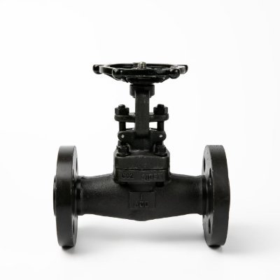 AlisaWntvalves's profile picture. 