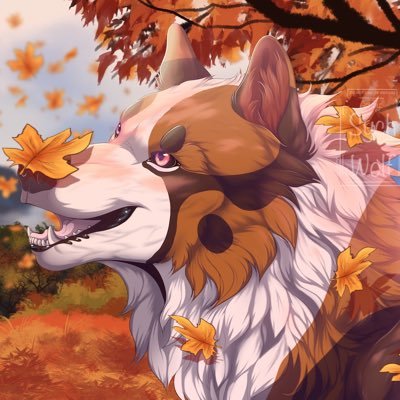 21 • DogBoy • Taken by my forever 🤎Hardly active here !