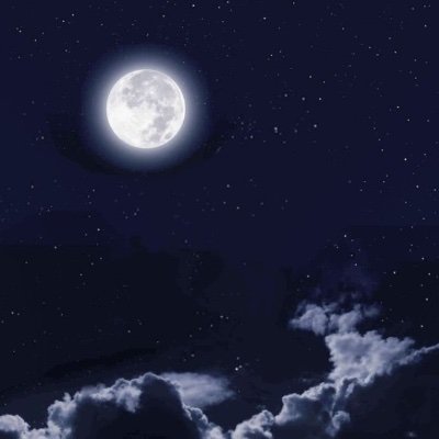 l82__oxxn's profile picture. 