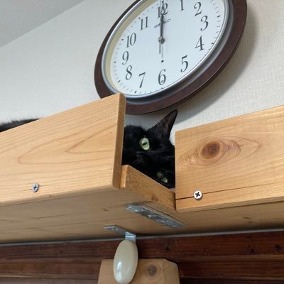 鞘さんのプロフィール画像