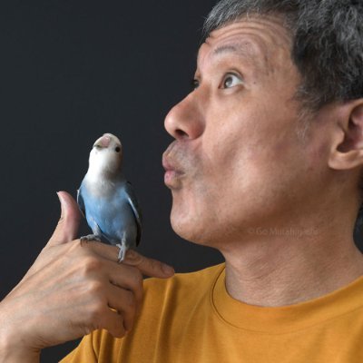 写真家です。写真集『インコのおとちゃん』の著者です。
コザクラインコのおとちゃんは2024年5月15日17歳で天寿を全うしました。本当にありがとうおとちゃん。そして2025年4月1日コザクラインコのらくちゃんを迎えました。
現在「おと写真館」という写真館やってます。
タイガースファンなので野球観戦ツイート多めです