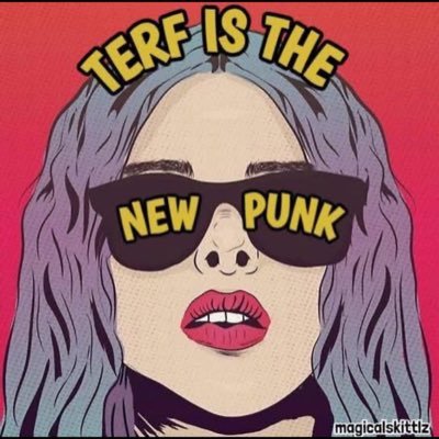 FifeWitch's profile picture. campaigning to get all poisonous, harmful trans activism out of schools and hospitals etc #transisalie