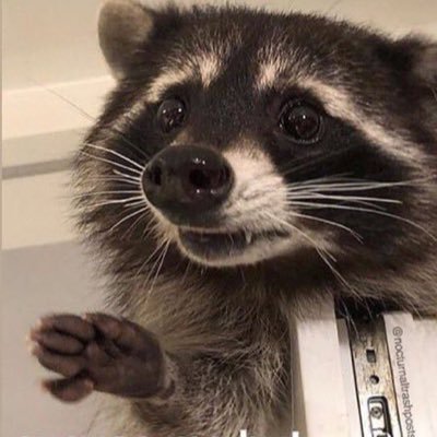 sugarushtxt's profile picture. wabi sabi