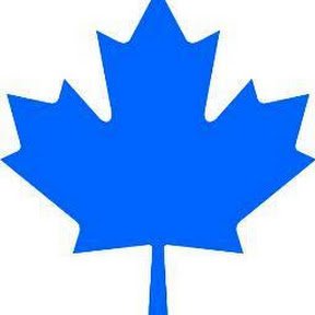 Toronto is the capital of scammers in Canada