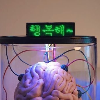 yeppibraindays's profile picture. サブです　鍵の時は@happybraindays←こっちの相互さんだけ承認してます　下ネタ言ったり　声優さんのネタ話したり　相互さんのカプの話したり　グッズで遊ぶ写真乗せたり　などなど　しょうもない