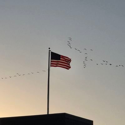 musiclover87200's profile picture. God's#1. I❤️🎶. I❤️🐼. I❤️🏀
❤️Peter. 1DFan. Basketball fan. State Champ Manager in 2020