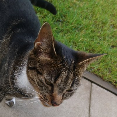 Stewart92225221's profile picture. No DMs.