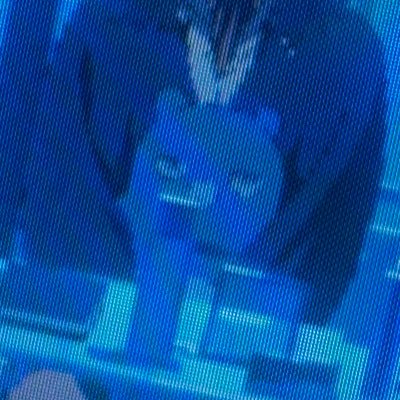 saku_main's profile picture. 