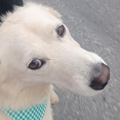 kes_keb's profile picture. 