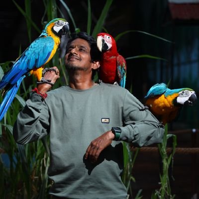 olivesridhar's profile picture. 