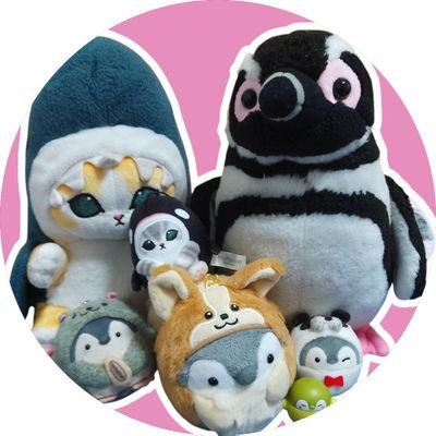 gGprcu0TZ6JoYX1's profile picture. 米米 打首 かーなー アバディ HAGANE / 沖縄 /ドライブ / スイムペリア / ラーメン おやつ 自炊記録 / ミステリー / Wizardy関連 /ヒトカラ / コウペンちゃん サメにゃん / 楽天市場アプリ紹介  https://t.co/qkOquT8NsJ