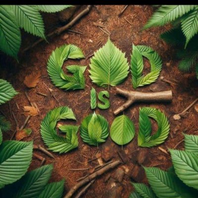 SurestPrecious1's profile picture. 