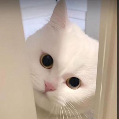 what’s the first programming language you learned ?.