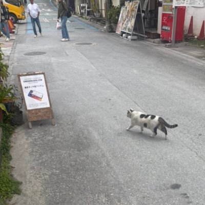 zu3478's profile picture. 仮想通貨トレード