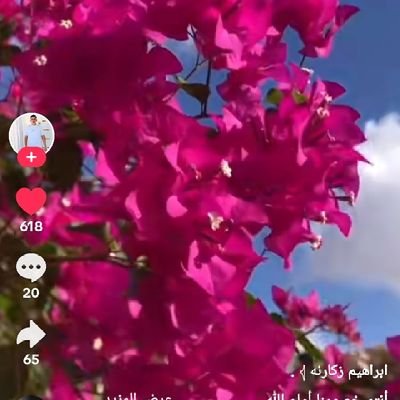 hajer384385's profile picture. د.أصول الدين جامعة الأمير عبد القادر ~قسنطينة ~إِذْ يُوحِے رَبُّكَ إِلَى اَ۬لْمَلَٰٓئِكَةِ أَنِّے مَعَكُمْ فَثَبِّتُواْ اُ۬لذِينَ آمنواسَأُلْقِے فِے قُلُوبِ اِ۬