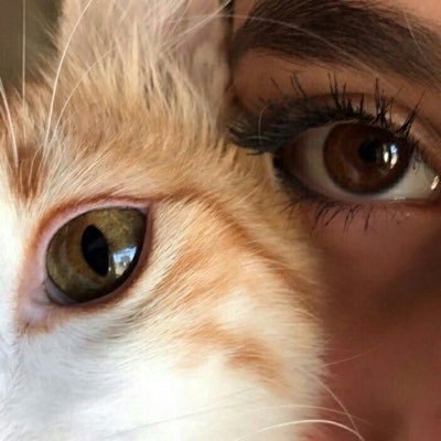 you're not gonna tell me who I am 🫵🏻Hope’s Mom 🐾🩶(21.8.23😓 I miss you so much, daddy) 🫀🤲🏼 Ministry of Health ⚕️💉🇹🇷