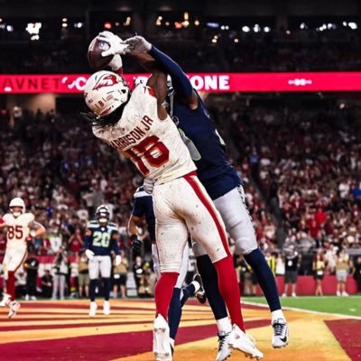 AZ sports fan