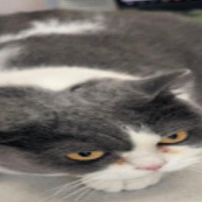 crim1nym's profile picture. why not