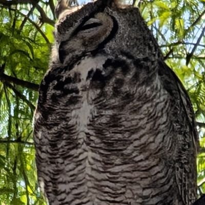 Richard_bfd627's profile picture. 🇺🇸✝️GOD, Family, Country, Patriot, 2nd Amendment, MAGA🇺🇸🇺🇸🇺🇸
                                      🚫Crypto, 🚫DM's=blocked