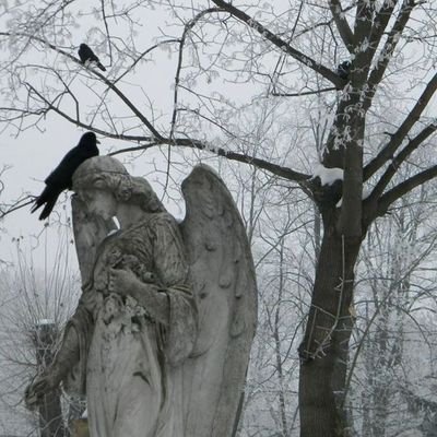 ossada_perdida's profile picture. 𝑑𝑒𝑎𝑟 𝑔𝑜𝑑, 𝑚𝑎𝑘𝑒 𝑚𝑒 𝑎 𝑏𝑖𝑟𝑑 𝑠𝑜 𝑖 𝑐𝑎𝑛 𝑓𝑙𝑦 𝑓𝑎𝑟, 𝑓𝑎𝑟 𝑓𝑎𝑟 𝑎𝑤𝑎𝑦 𝑓𝑟𝑜𝑚 𝑡𝚑𝑖𝑠 𝑤𝑜𝑟𝑙𝑑 🐇་༘࿐