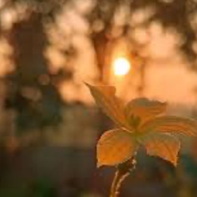 ShahadAlmabadi's profile picture. Senior Computer Science Student at Jubail Industrial College | Member of HEMMAH Volunteer Club