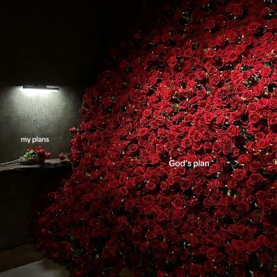 tariro_ms's profile picture. Loved at home.