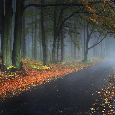 FrankdByrd's profile picture. One who gains strength by overcoming obstacles possesses the only strength which can overcome adversity.