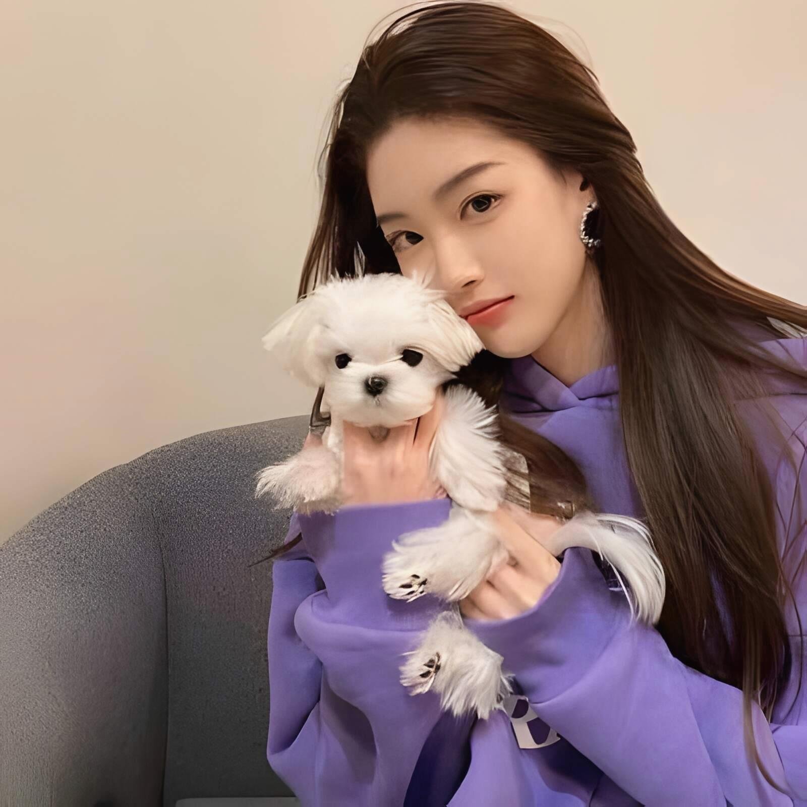 Samarasde's profile picture. 本人白天有正常工作，晚上有空就会兼职，有需要的可以加我得电报私聊 https://t.co/CbR1toMTSZ 嘴炮招聘勿扰 粉色系小姐姐💛