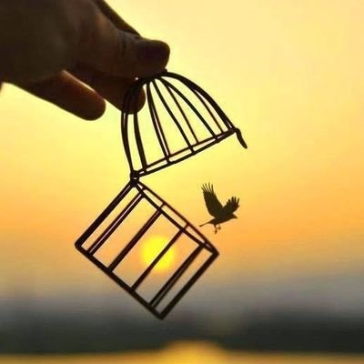 aashu_01k's profile picture. khan