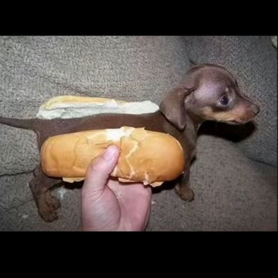 Throwaway010_'s profile picture. 