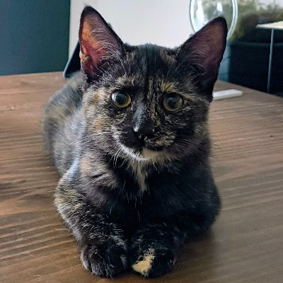 ryupold's profile picture. 